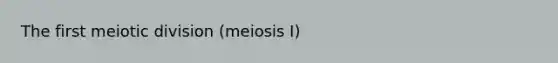 The first meiotic division (meiosis I)