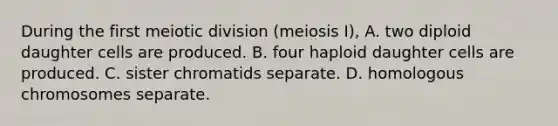 During the first meiotic division (meiosis I), A. two diploid daughter cells are produced. B. four haploid daughter cells are produced. C. sister chromatids separate. D. homologous chromosomes separate.