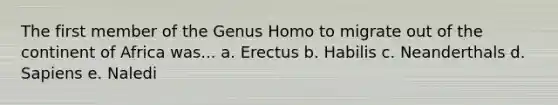 The first member of the Genus Homo to migrate out of the continent of Africa was... a. Erectus b. Habilis c. Neanderthals d. Sapiens e. Naledi