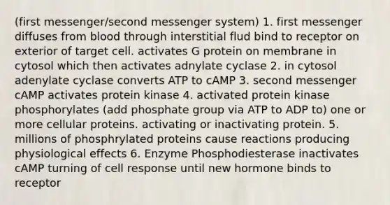 (first messenger/second messenger system) 1. first messenger diffuses from blood through interstitial flud bind to receptor on exterior of target cell. activates G protein on membrane in cytosol which then activates adnylate cyclase 2. in cytosol adenylate cyclase converts ATP to cAMP 3. second messenger cAMP activates protein kinase 4. activated protein kinase phosphorylates (add phosphate group via ATP to ADP to) one or more cellular proteins. activating or inactivating protein. 5. millions of phosphrylated proteins cause reactions producing physiological effects 6. Enzyme Phosphodiesterase inactivates cAMP turning of cell response until new hormone binds to receptor