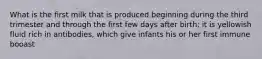 What is the first milk that is produced beginning during the third trimester and through the first few days after birth; it is yellowish fluid rich in antibodies, which give infants his or her first immune booast