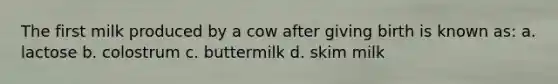 The first milk produced by a cow after giving birth is known as: a. lactose b. colostrum c. buttermilk d. skim milk