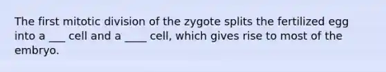 The first mitotic division of the zygote splits the fertilized egg into a ___ cell and a ____ cell, which gives rise to most of the embryo.