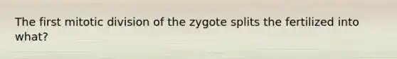 The first mitotic division of the zygote splits the fertilized into what?