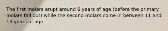 The first molars erupt around 6 years of age (before the primary molars fall out) while the second molars come in between 11 and 13 years of age.