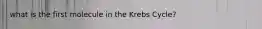 what is the first molecule in the Krebs Cycle?