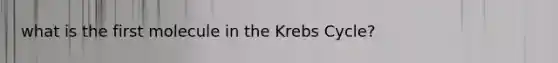 what is the first molecule in the Krebs Cycle?