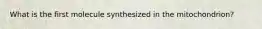 What is the first molecule synthesized in the mitochondrion?