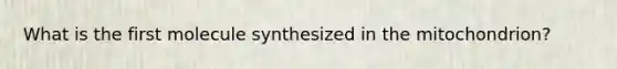 What is the first molecule synthesized in the mitochondrion?