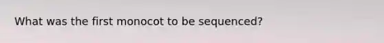 What was the first monocot to be sequenced?