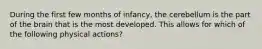 During the first few months of infancy, the cerebellum is the part of the brain that is the most developed. This allows for which of the following physical actions?