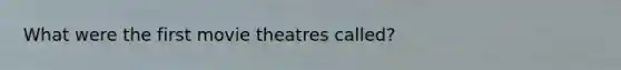 What were the first movie theatres called?