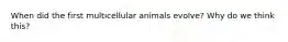 When did the first multicellular animals evolve? Why do we think this?