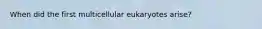 When did the first multicellular eukaryotes arise?