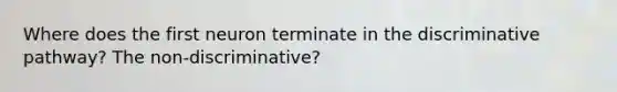 Where does the first neuron terminate in the discriminative pathway? The non-discriminative?