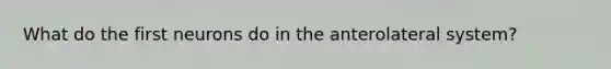 What do the first neurons do in the anterolateral system?