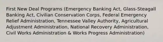 First New Deal Programs (Emergency Banking Act, Glass-Steagall Banking Act, Civilian Conservation Corps, Federal Emergency Relief Administration, Tennessee Valley Authority, Agricultural Adjustment Administration, National Recovery Administration, Civil Works Administration & Works Progress Administration)