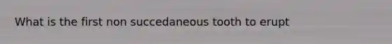 What is the first non succedaneous tooth to erupt