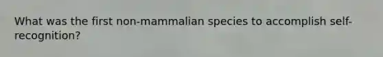 What was the first non-mammalian species to accomplish self-recognition?