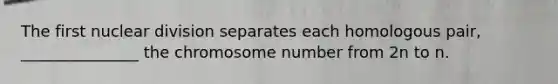 The first nuclear division separates each homologous pair, _______________ the chromosome number from 2n to n.