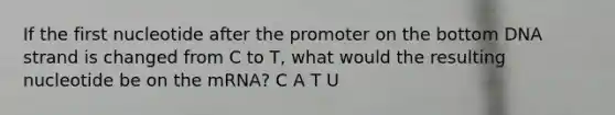 If the first nucleotide after the promoter on the bottom DNA strand is changed from C to T, what would the resulting nucleotide be on the mRNA? C A T U