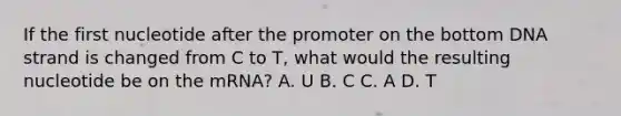 If the first nucleotide after the promoter on the bottom DNA strand is changed from C to T, what would the resulting nucleotide be on the mRNA? A. U B. C C. A D. T