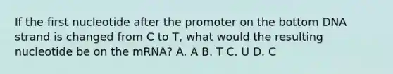 If the first nucleotide after the promoter on the bottom DNA strand is changed from C to T, what would the resulting nucleotide be on the mRNA? A. A B. T C. U D. C