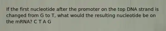 If the first nucleotide after the promoter on the top DNA strand is changed from G to T, what would the resulting nucleotide be on the mRNA? C T A G