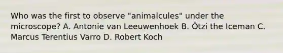 Who was the first to observe "animalcules" under the microscope? A. Antonie van Leeuwenhoek B. Ötzi the Iceman C. Marcus Terentius Varro D. Robert Koch