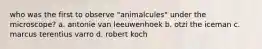 who was the first to observe "animalcules" under the microscope? a. antonie van leeuwenhoek b. otzi the iceman c. marcus terentius varro d. robert koch