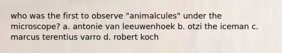 who was the first to observe "animalcules" under the microscope? a. antonie van leeuwenhoek b. otzi the iceman c. marcus terentius varro d. robert koch