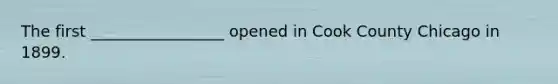 The first _________________ opened in Cook County Chicago in 1899.