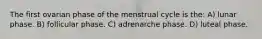 The first ovarian phase of the menstrual cycle is the: A) lunar phase. B) follicular phase. C) adrenarche phase. D) luteal phase.