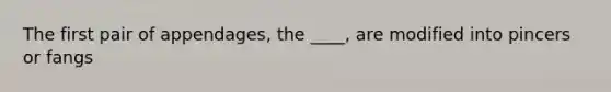 The first pair of appendages, the ____, are modified into pincers or fangs