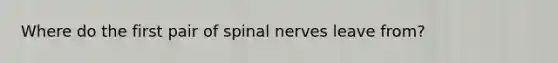 Where do the first pair of spinal nerves leave from?