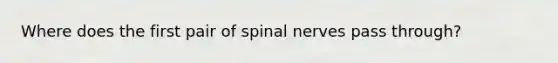 Where does the first pair of spinal nerves pass through?