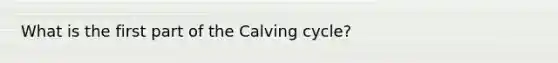 What is the first part of the Calving cycle?