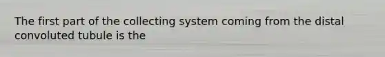 The first part of the collecting system coming from the distal convoluted tubule is the