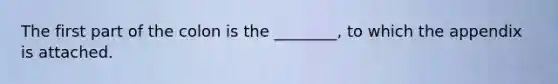 The first part of the colon is the ________, to which the appendix is attached.