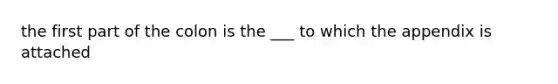 the first part of the colon is the ___ to which the appendix is attached