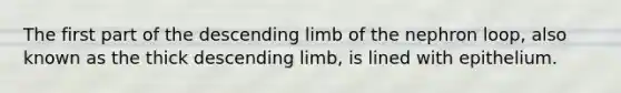 The first part of the descending limb of the nephron loop, also known as the thick descending limb, is lined with epithelium.