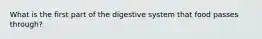 What is the first part of the digestive system that food passes through?