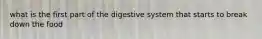 what is the first part of the digestive system that starts to break down the food