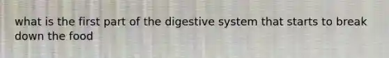 what is the first part of the digestive system that starts to break down the food