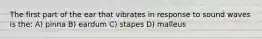 The first part of the ear that vibrates in response to sound waves is the: A) pinna B) eardum C) stapes D) malleus