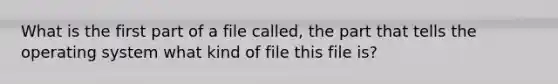 What is the first part of a file called, the part that tells the operating system what kind of file this file is?