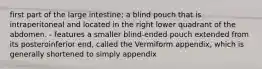 first part of the large intestine; a blind pouch that is intraperitoneal and located in the right lower quadrant of the abdomen. - features a smaller blind-ended pouch extended from its posteroinferior end, called the Vermiform appendix, which is generally shortened to simply appendix