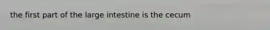 the first part of the large intestine is the cecum