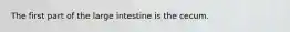 The first part of the large intestine is the cecum.