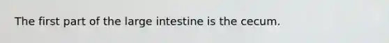 The first part of the large intestine is the cecum.